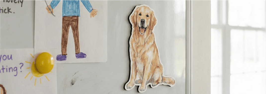 Printable Magnets �ޥ��ͥå�